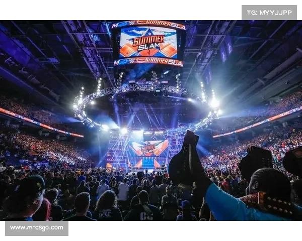 瓦伦西亚主场设施升级,提升观赛体验