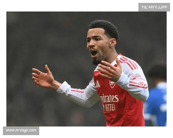 记者：西汉姆等多队有意冬窗租借阿森纳小将恩瓦内里遭拒