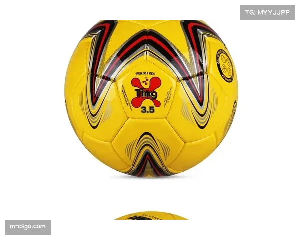 手球用品市场细分：竞赛用球、训练装备、娱乐产品各占份额